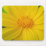 Mexican Sunflower Mouse Pad