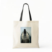 Mexican wolf, endangered species, Sonoran Desert, Bag