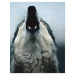 Mexican wolf, endangered species, Sonoran Desert, flyers