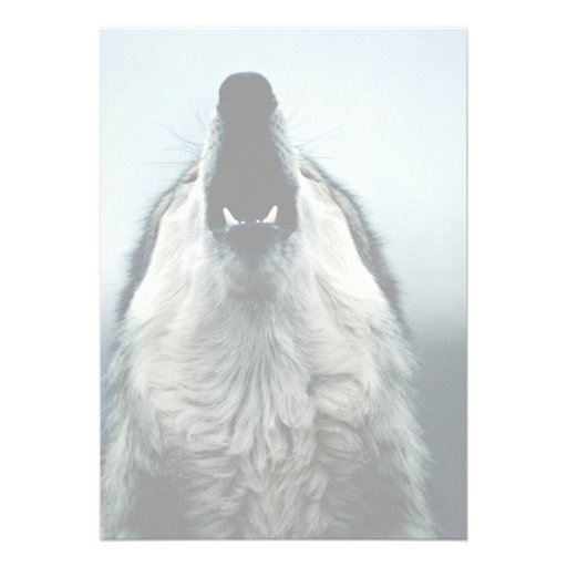 Mexican wolf, endangered species, Sonoran Desert, Personalized Announcement