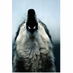 Mexican wolf, endangered species, Sonoran Desert, photo sculptures
