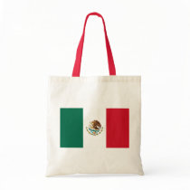 mexico canvas bags