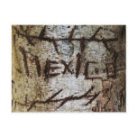 "Mexico" Carved Tree Graffiti postcards