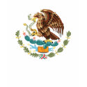 Mexico Coat of Arms Ladies Shirt