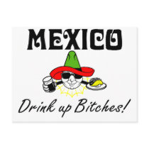 Mexico Drink Up Bitches Postcard
