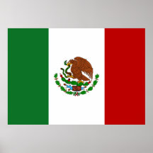 Mexico Flag Print