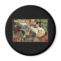 mexico land of tropical splendour magnet