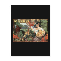 mexico land of tropical splendour post cards