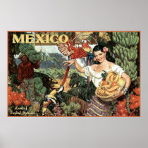 mexico land of tropical splendour posters