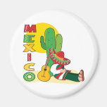 Mexico Magnets
