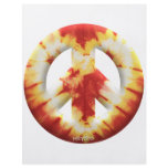 Meyoto Red Tie Dye flyers