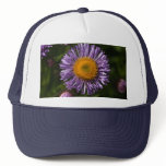 _MG_8030 HAT