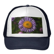 _MG_8030 HAT