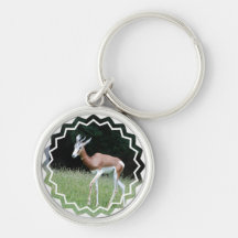 Mhorr Gazelle Keychain