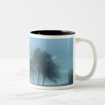 Miami Beach, Florida, hurricane winds lashing Mugs