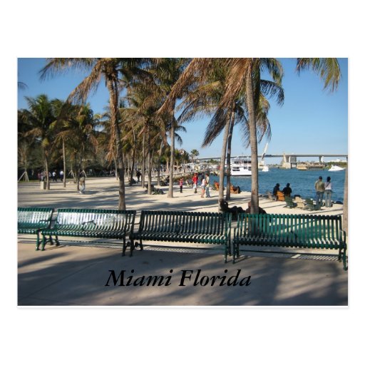 Miami Florida Postcards