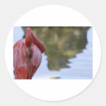 Miami's Pink Flamingo Stickers