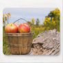 Michigan Apples Mouse Pads