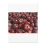 Michigan Apples Post Cards