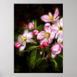 Michigan Bloom Print