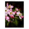 Michigan Blooms cards
