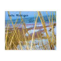 Michigan Dune Grass Post Card