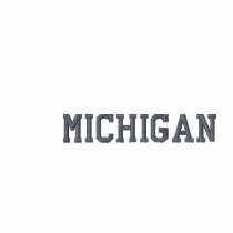 Michigan Embroidered Basic T-shirt White 2