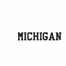 Michigan Embroidered Ladies Petite T-shirt White