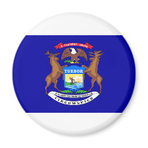 Michigan Flag Fridge Magnet