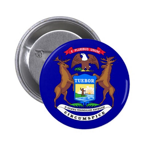 Michigan Flag Pinback Button