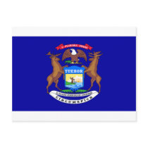 Michigan Flag Postcards