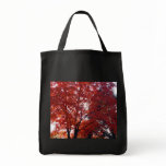 Michigan Tree Canvas Bags