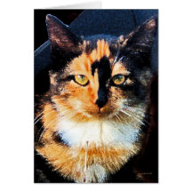 Micky II Greeting Card