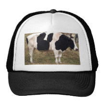 Micky Mouse Cow Hat