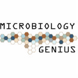 Microbiology Genius photo sculptures