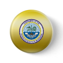 Micronesia Coat of Arms Pinback Button