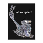 Microraptor Postcard