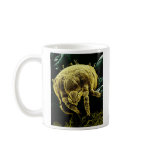 Microscopic Arthropod Acari Mite Lorryia Formosa mugs