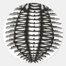 microscopic creature stickers