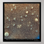 Microscopic View of Martian Soil Posters