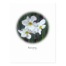 mid-spring floral selections post cards
