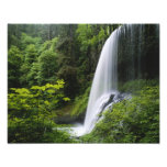 Middle North falls, Silver Falls State Park, Photo Print