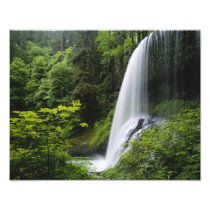 Middle North falls, Silver Falls State Park,