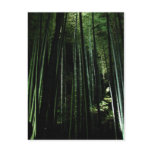 Midnight Bamboo postcards