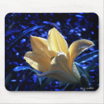 Midnight Beauty mousepads