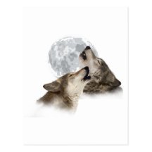 Midnight Howling Post Card