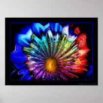 Midnight Mystery, Fine Art Print or Poster
