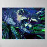 midnight racoon posters