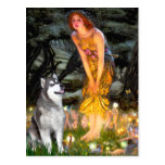 Midsummers Eve - Alaskan Malamute Postcards