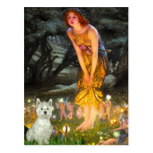 Midsummers Eve - Westie (S) Post Cards